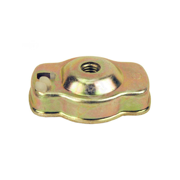 STARTER PAWL ASSEMBLY